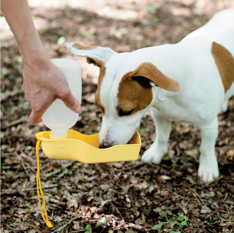 Distributeur d’eau portable pour chien – Idealdog