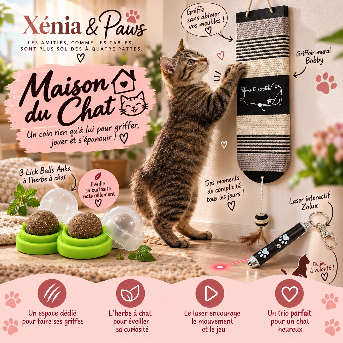 Maison du Chat