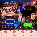 Balade Nocturne