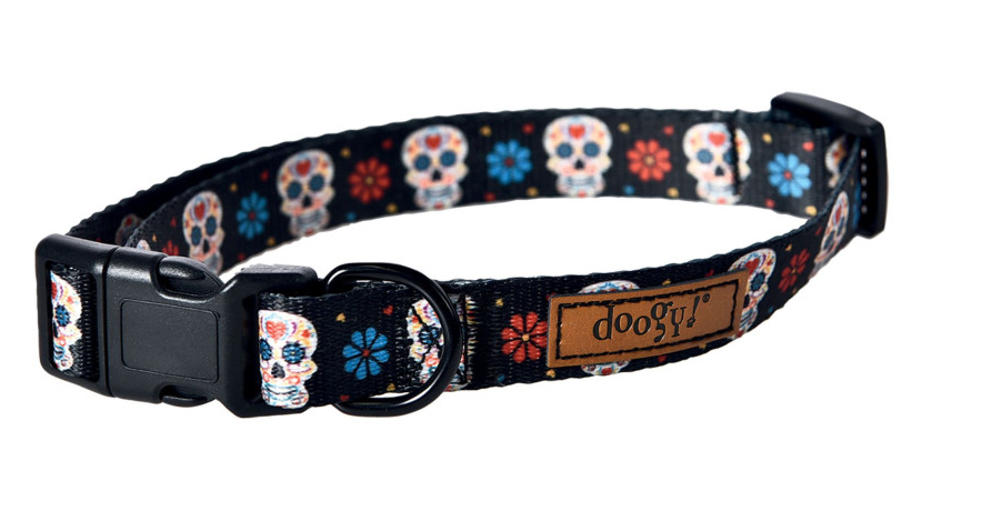 Bundle Halloween – Laisse & Collier Dia de los Muertos | Chien