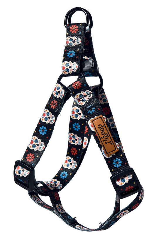 Bundle Halloween – Laisse & Harnais Dia de los Muertos | Chien